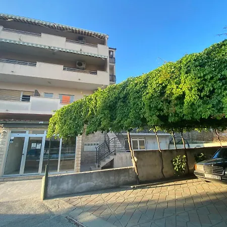 Attractive High Quality Friendly